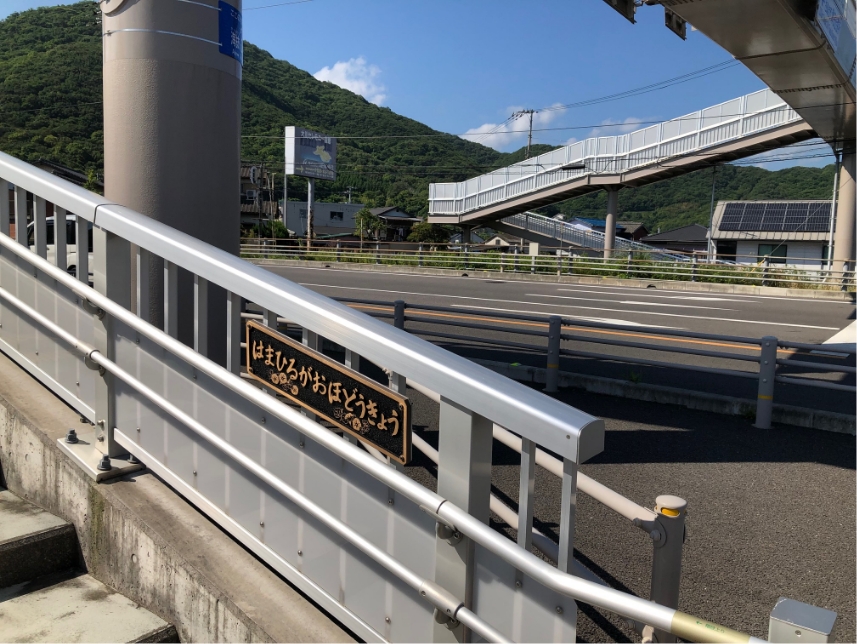 歩道橋にも「ハマヒルガオ」